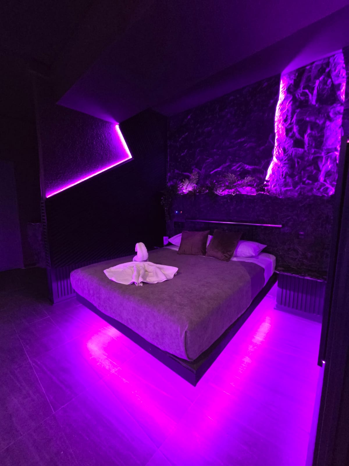 Suite Presidencial Umbra